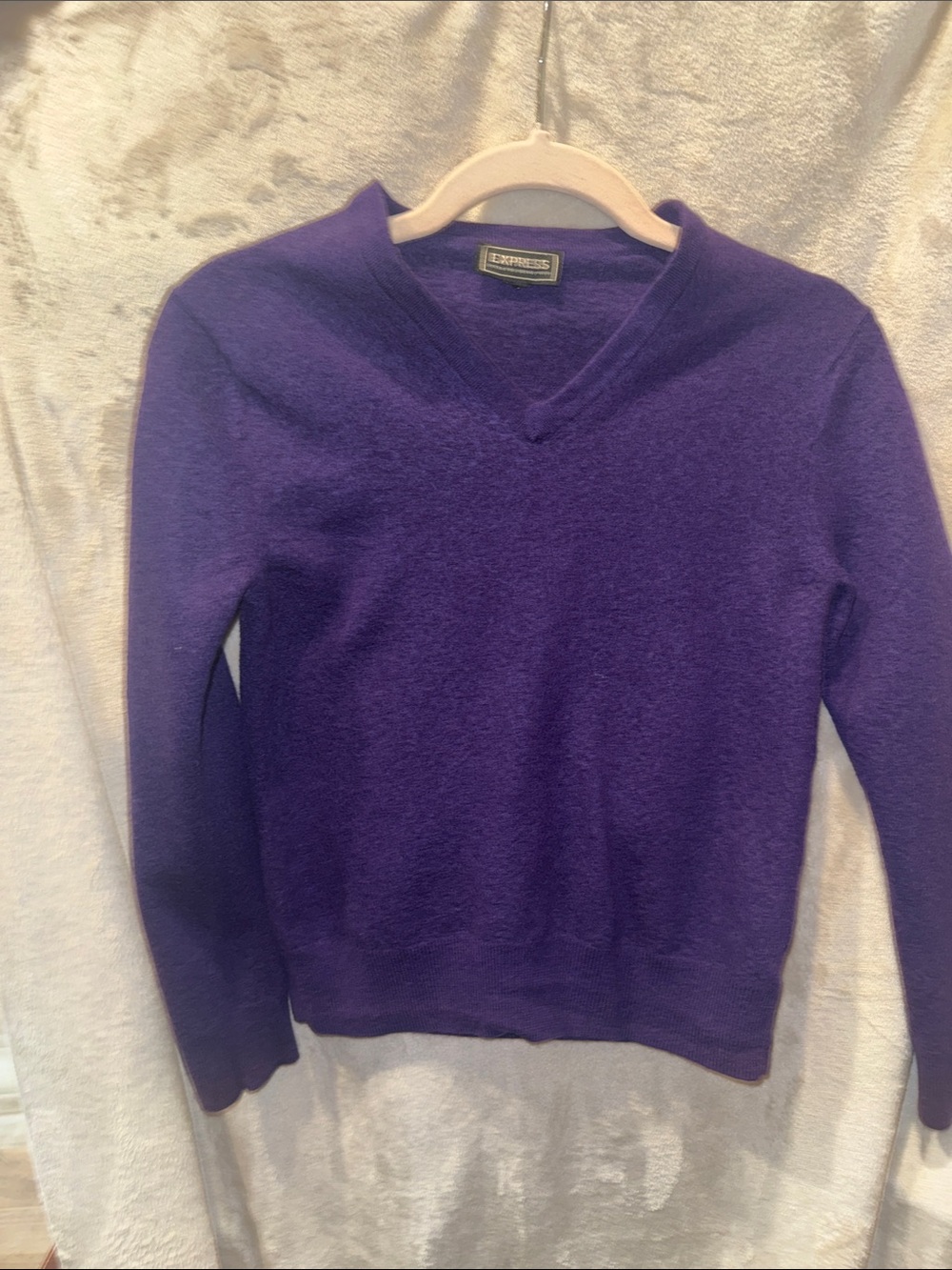 Express Deep Purple V-Neck Sweater